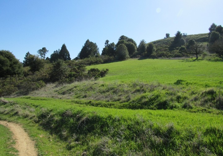 Santa Cruz Mountains